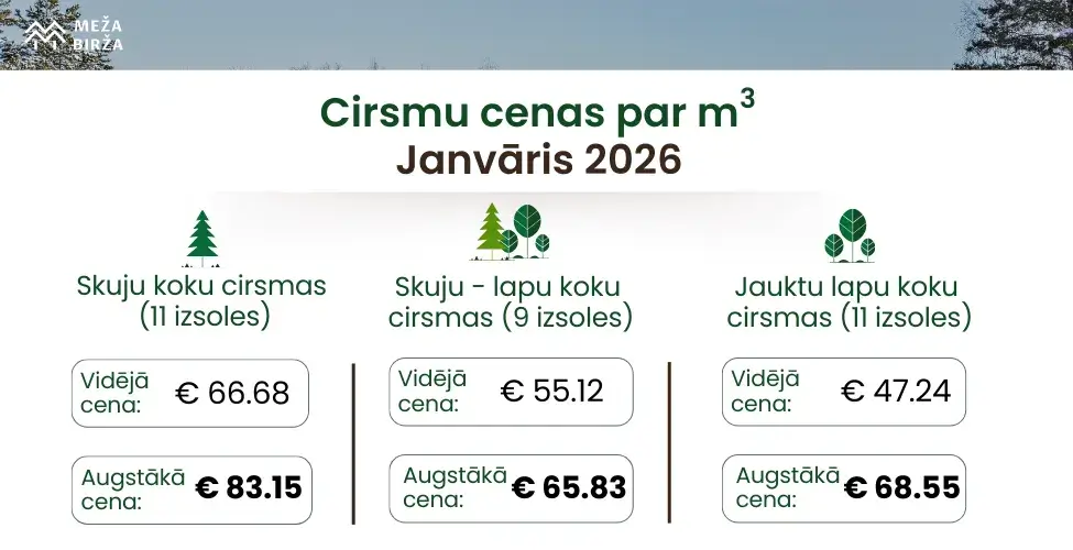 Cirsmu cenas janvārī