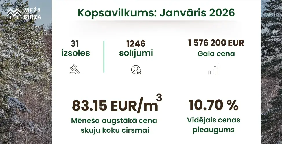 Cirsmu izsoles janvārī kopsavilkums