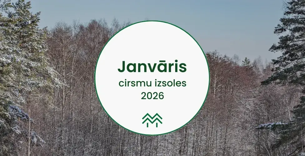 Cirsmu izsoles janvārī