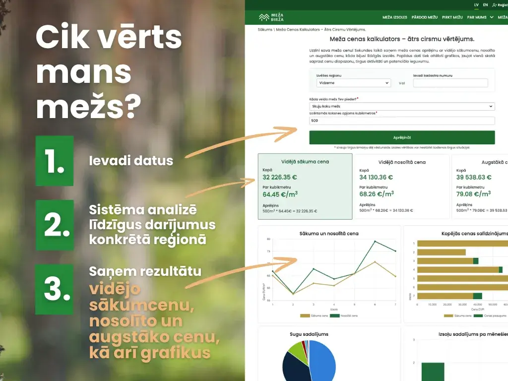 Meža cenas kalkulators cik vērts mans mežs