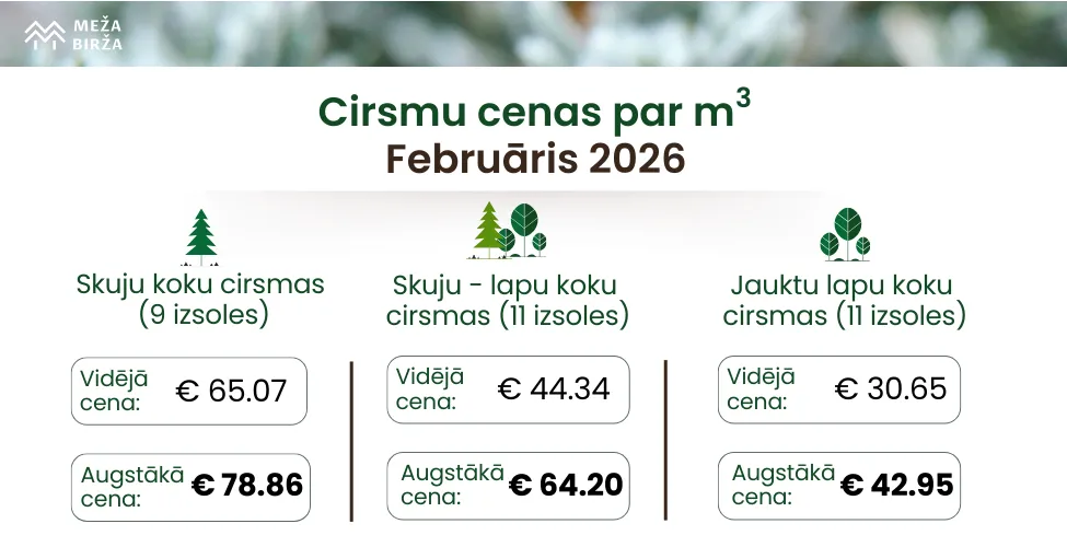 Cirsmu cenas februārī