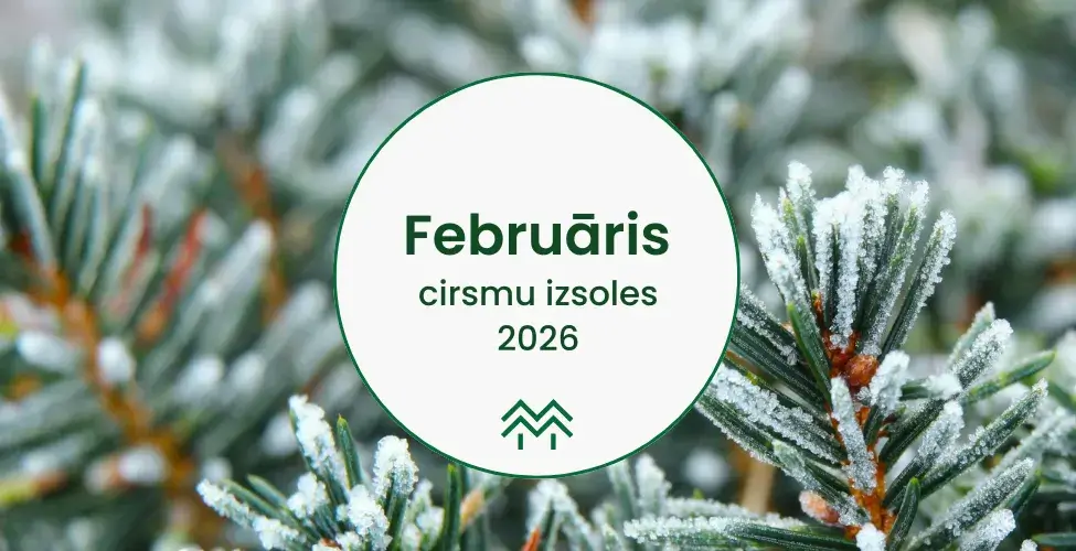 Cirsmu izsoles februārī 