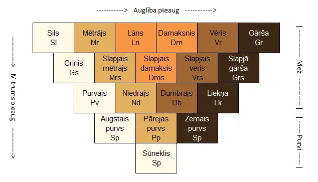 Meži uz dabīgām jeb nesusinātām augsnēm