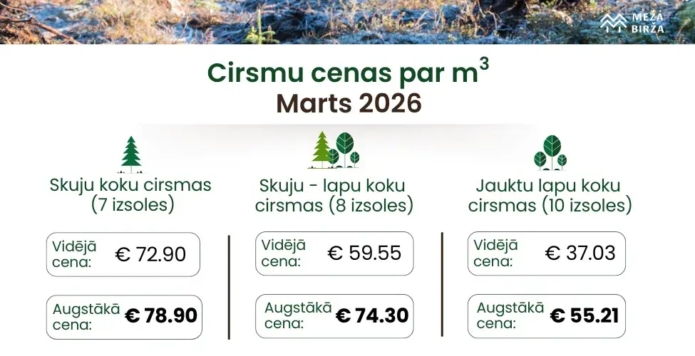 Cirsmu cenas martā