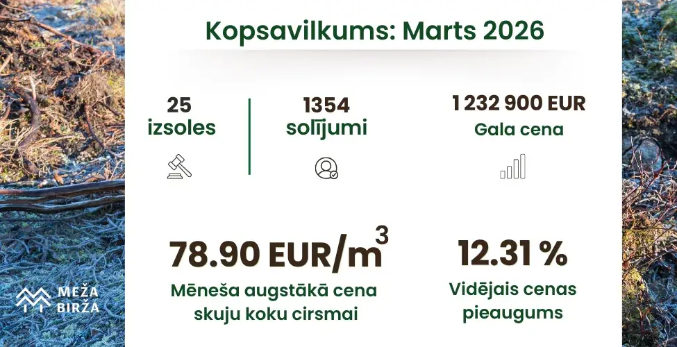 Meža cirsmu izsoles marts