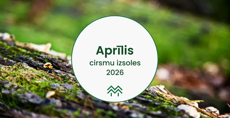 Cirsmu izsoles un meža izsoles aprīlis