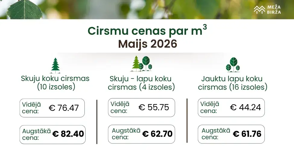Meža cirsmu cenas maijā