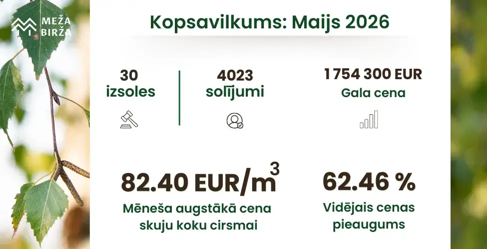 Meža Cirsmu izsoles kopsavilkums maijā