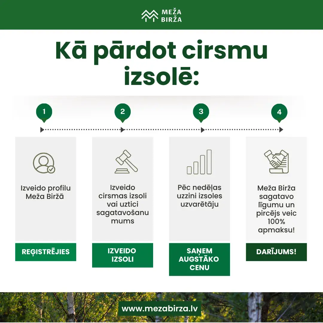 meža cirsmas izsoles process Meža Biržā