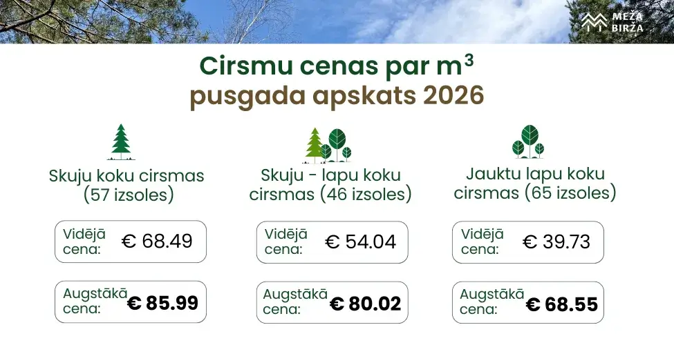 Cirsmas cena 2026 pusgada apskats Meža Birža