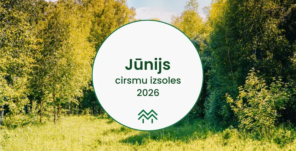 Cirsmu izsoles Jūnijā