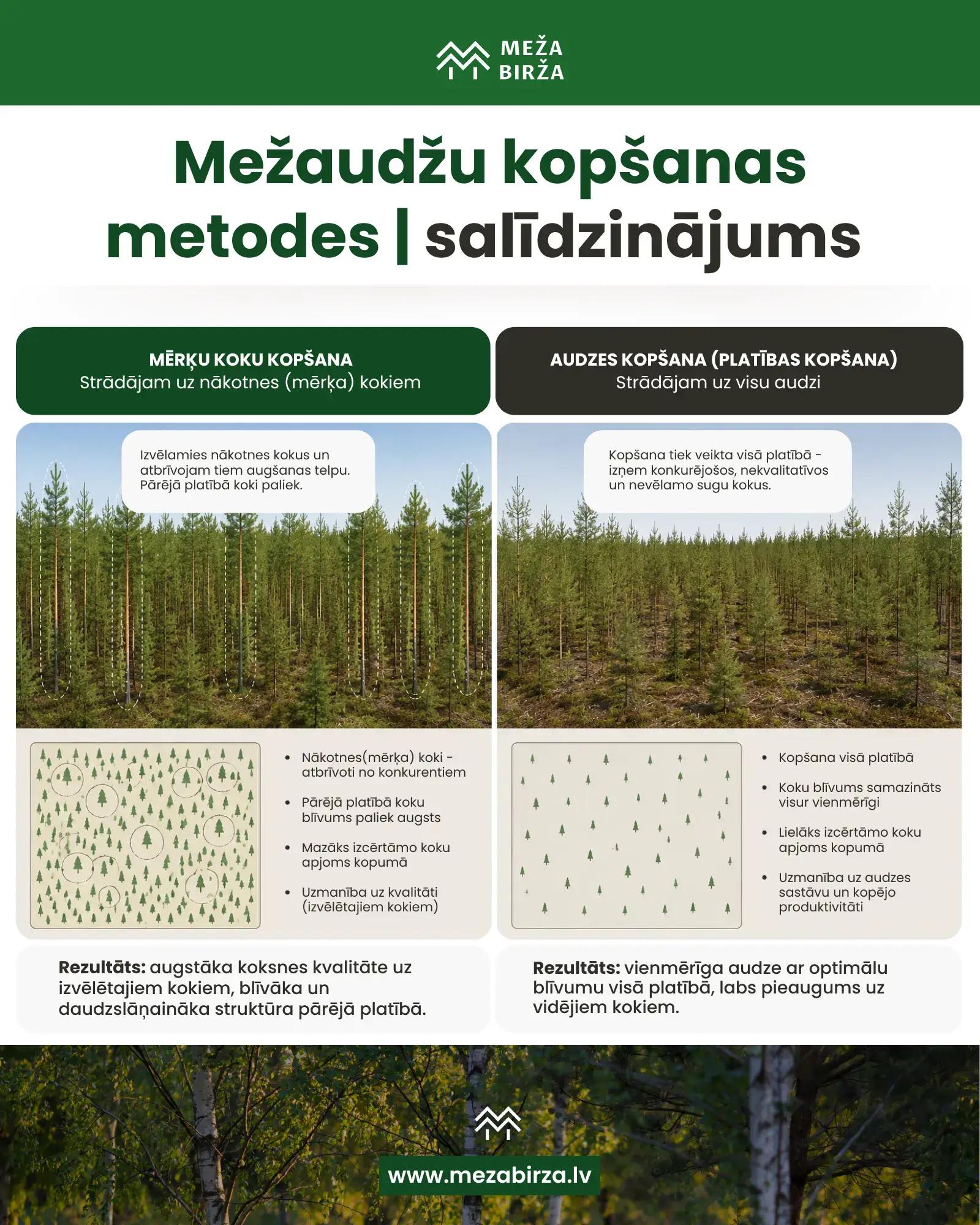 Mežaudžu kopšanas metodes salīdzinājums