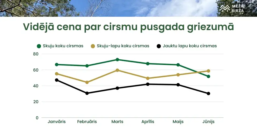 Vidējā cirsmas cena 2026 pusgads Meža Birža