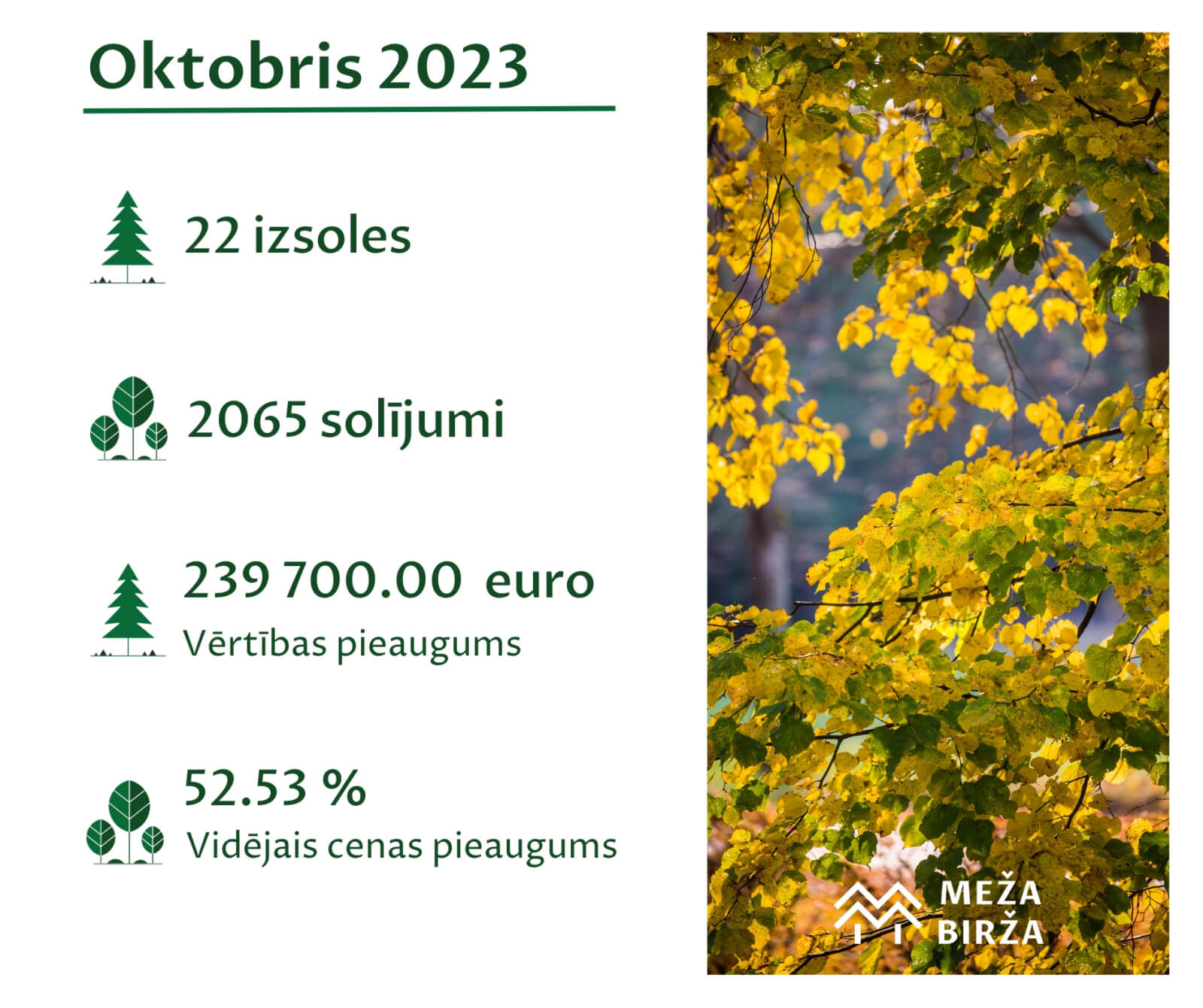 meža birža statistika oktobrī 2023