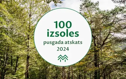 Pusgada statistikas apskats Meža Biržā | Tendences meža nozarē 2024