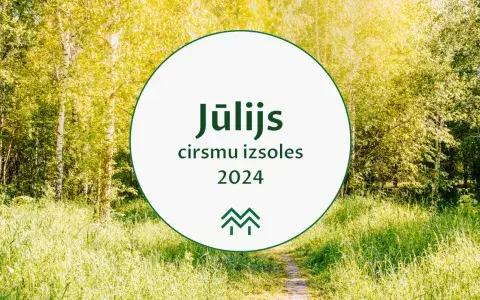 jūlijs cirsmu cenas 2024