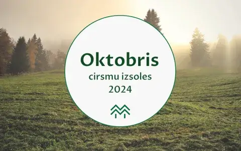 Mēneša aktīvākais reģions - Kurzeme | Oktobra cirsmu cenu apkopojums