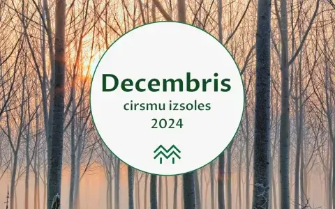 decembris cirsmu cenas meža birža