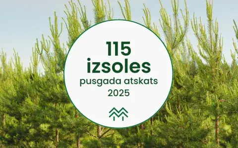 Pusgada statistikas apskats Meža Biržā | Tendences mežu nozarē 2025