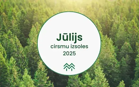 Rekordcenas priedes cirsmām