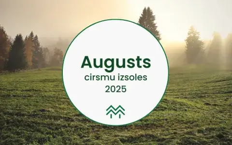 Cirsmu cenas Augusts 2025