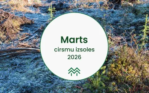 Cirsmu izsoles un cenas marts