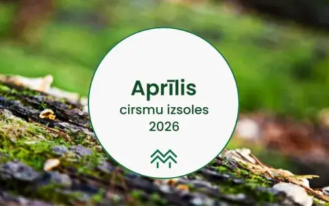 cirsmu izsoles un meža izsoles aprīlis