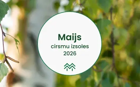 Cirsmu izsoles maijā