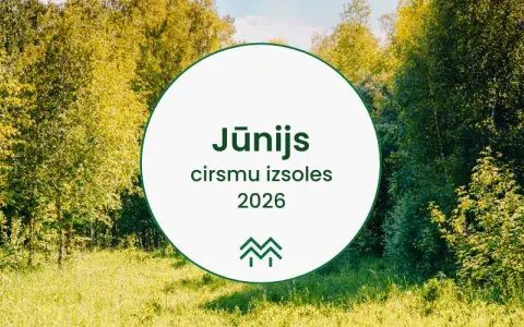 Cirsmu izsoles un cenas jūnijā