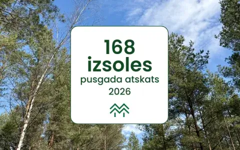 Meža cirsmas pārdošana 2026