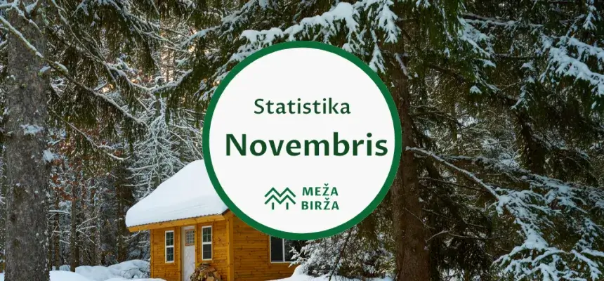 Meža birža cirsmu izsoļu statistika novembris 2023