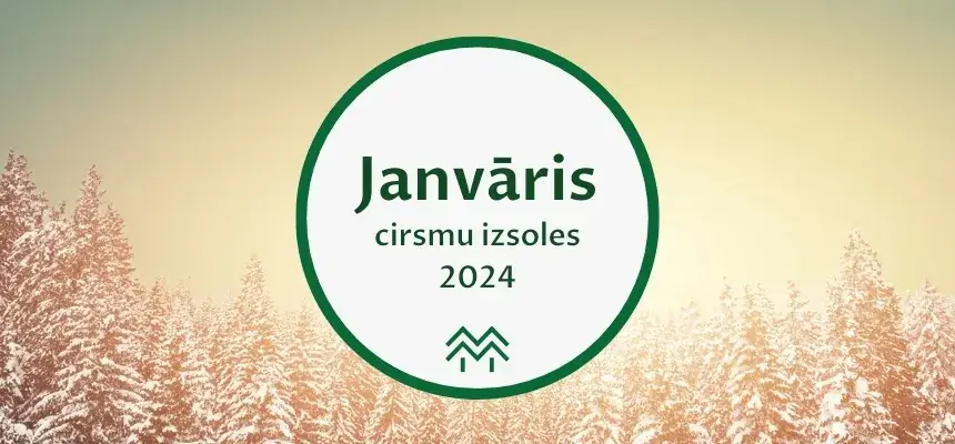 cirsmu cenas janvāris 2024 meža birža