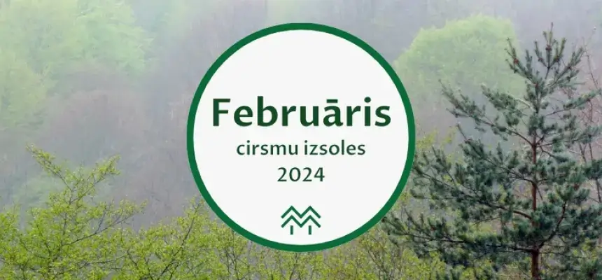 februāris 2024 cirsmu cenas statistika meža birža