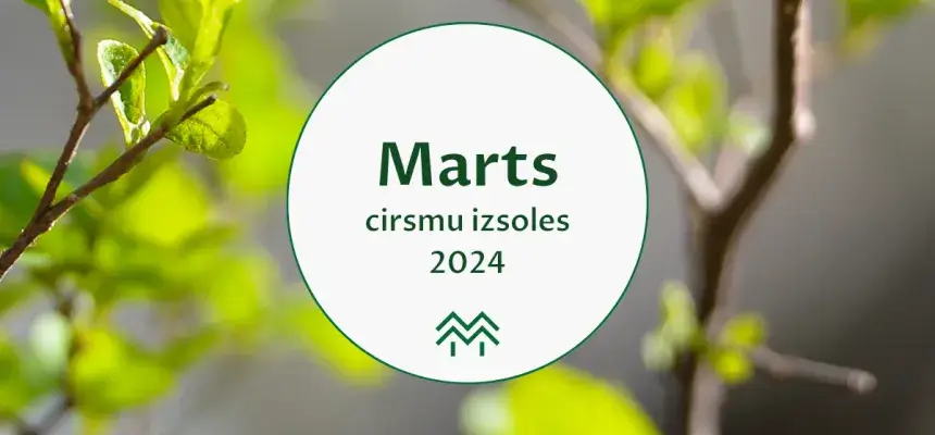 cirsmu cenu statistika meža birža 2024 marts