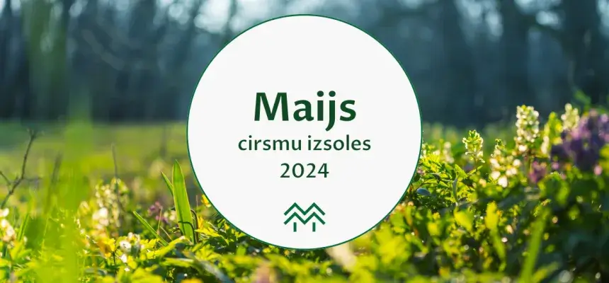 cirsmu cenu statistika meža birža 2024 maijs