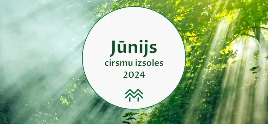 cirsmu cenas 2024 meža birža jūnijs