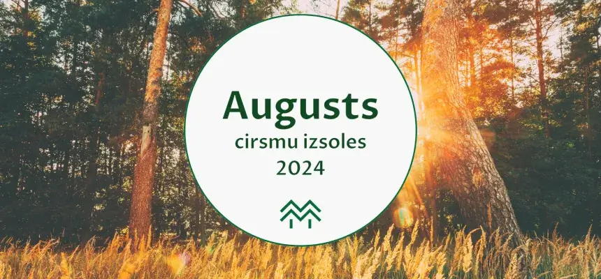 cirsmu cenas meža birža 2024 augusts