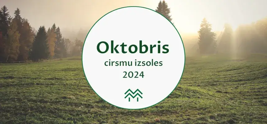 Mēneša aktīvākais reģions - Kurzeme | Oktobra cirsmu cenu apkopojums