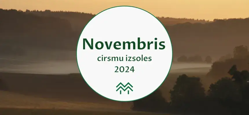 Apsēm cenu augšupeja | Novembra cirsmu cenu apkopojums