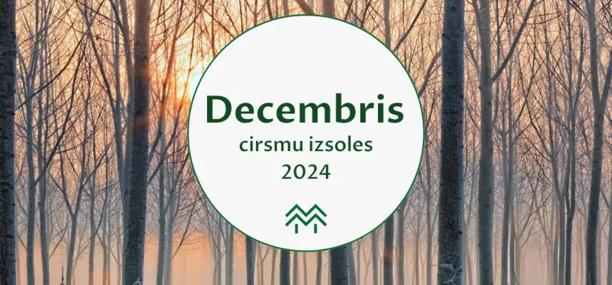 decembris cirsmu cenas meža birža