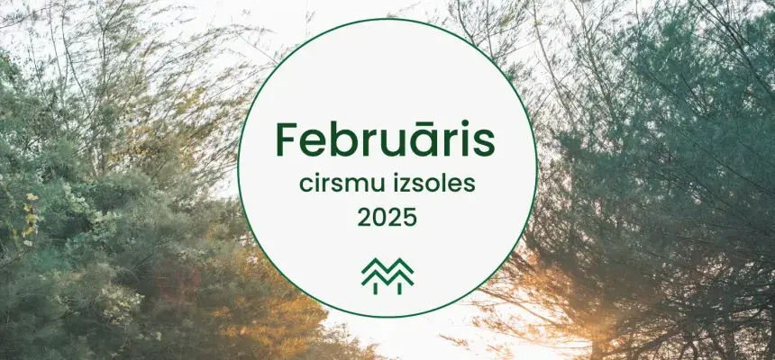 Februāra cirsmu cenas Meža Biržā