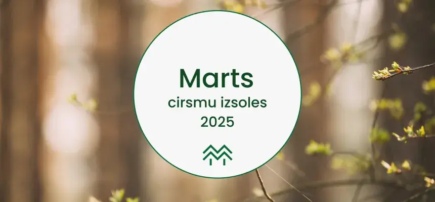 cirsmu cenu statistika meža birža 2025 marts