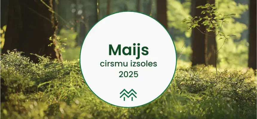 Maija cirsmu cenas Meža Biržā