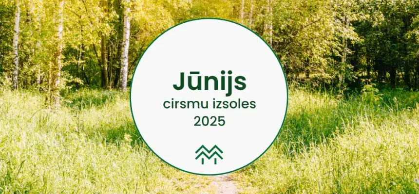 Jūnija cirsmu cenas Meža Biržā
