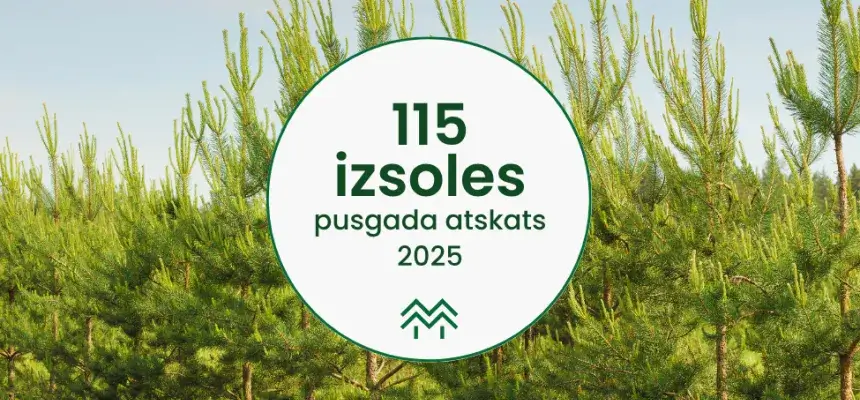 Pusgada statistikas apskats Meža Biržā | Tendences mežu nozarē 2025