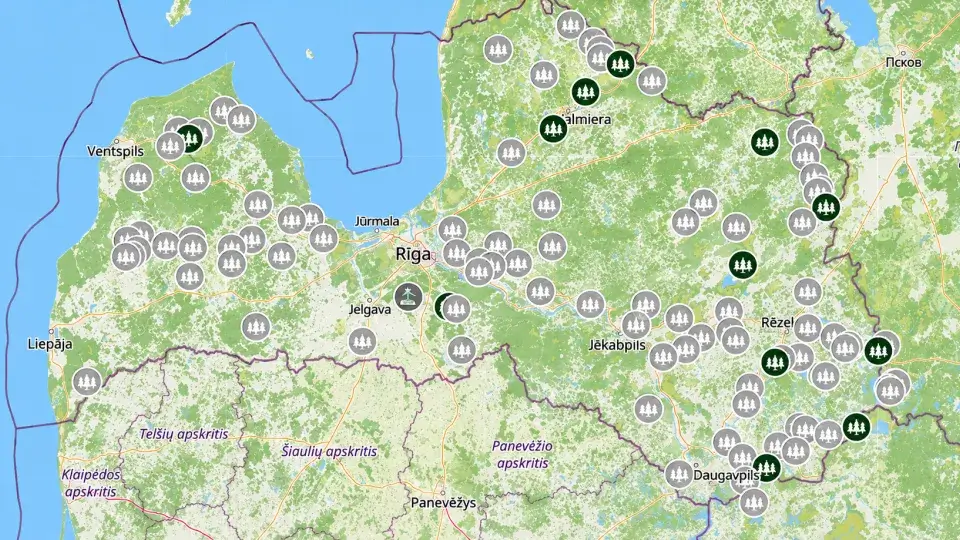 karte ar meža cirsmu izsolēm