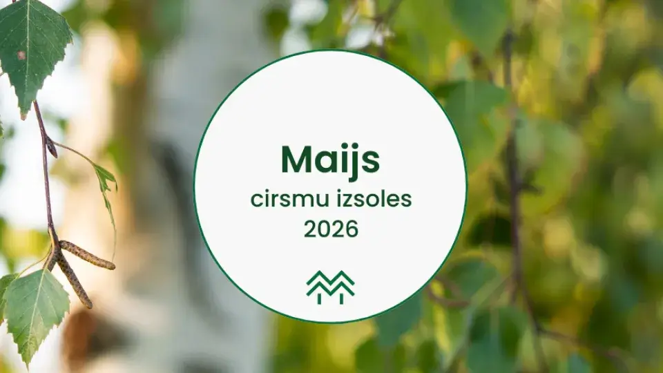 Cirsmu cenas aktualitātes