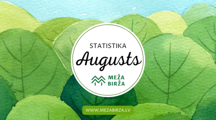 august-statistics