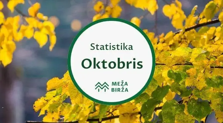 Oktobris meža birža cirsmu izsoles