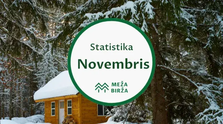 Meža birža cirsmu izsoļu statistika novembris 2023